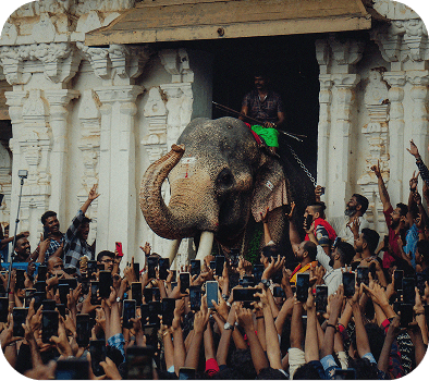 Pooram festival celebration